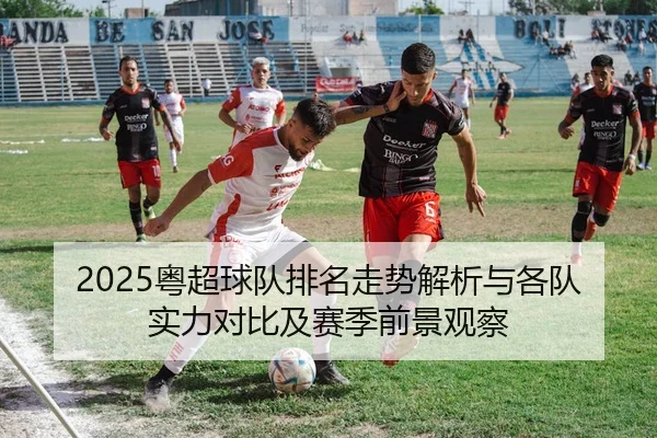 2025粤超球队排名走势解析与各队实力对比及赛季前景观察 - 新闻资讯相关报道缩略图