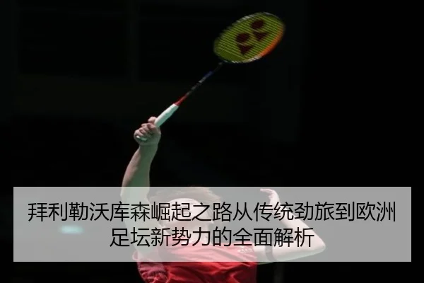 bai-li-lei-wo-ku-sen-jue-qi-zhi-lu-cong-chuan-tong-jing-lv-dao-ou-zhou-zu-tan-xin-shi-li-de-quan-mian-jie-xi-2-791.jpg