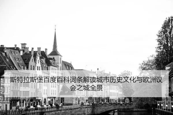 斯特拉斯堡百度百科词条解读城市历史文化与欧洲议会之城全景